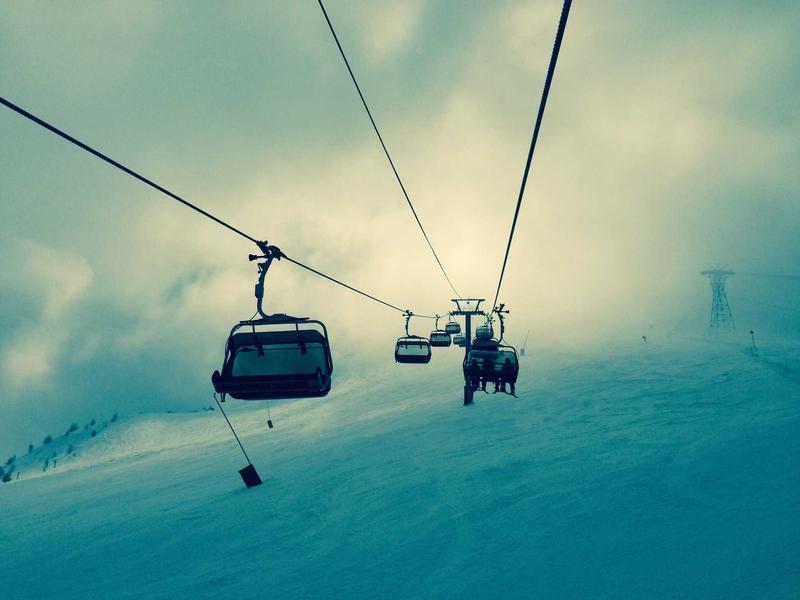 美国末日<br>dnvvvtt.cn 火萤组织遗志